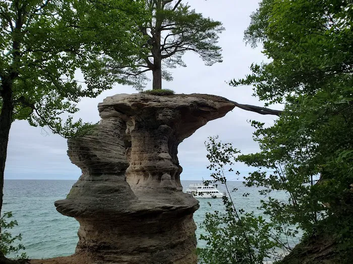 Chapel Beach Campground Picture 7