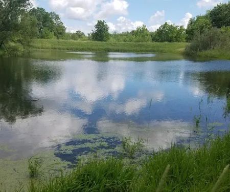 Cedar Valley Grove Campground