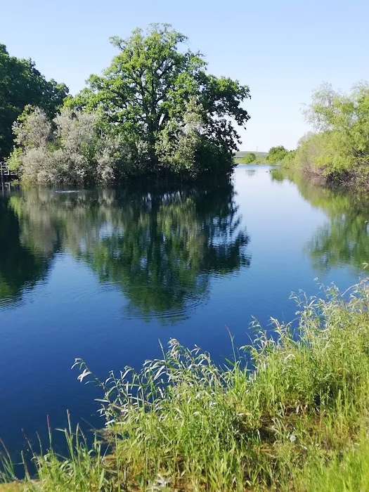Hickory Oaks Campground Picture 10