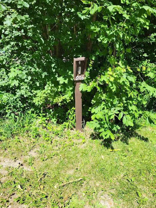 Group Campground Picture 8