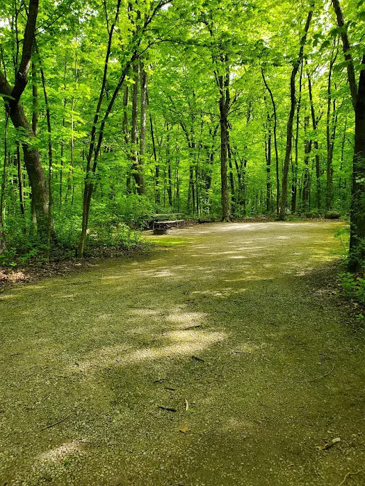 High Cliff State Park Campground Picture 6
