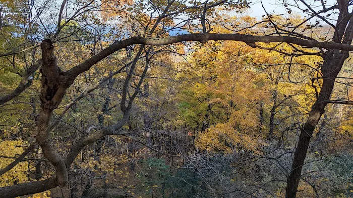 High Cliff State Park Campground Picture 9