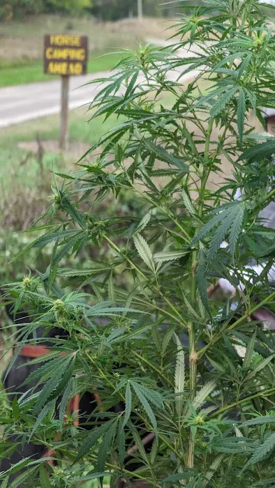 La Riviere Horse Park Picture 7