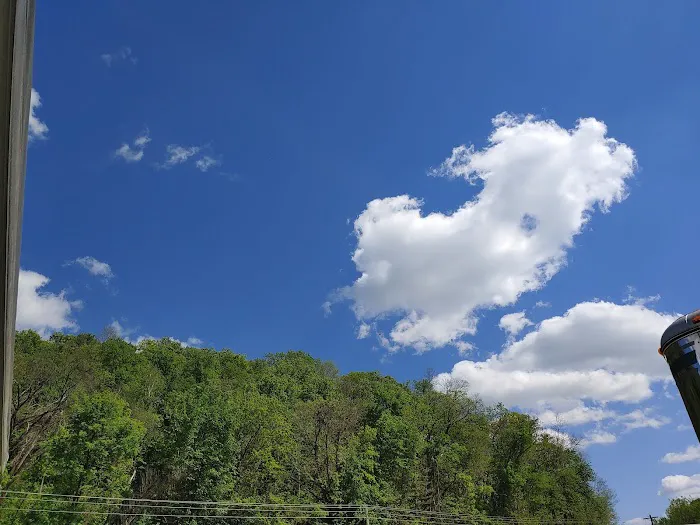 La Riviere Horse Park Picture 1