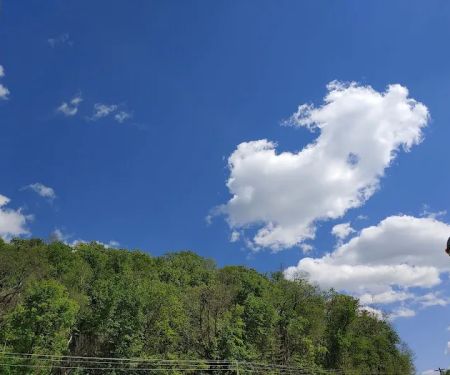 La Riviere Horse Park