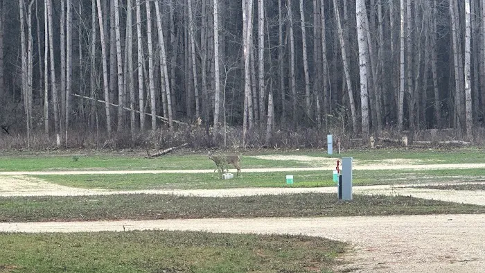 Osborne Park Campground Picture 2