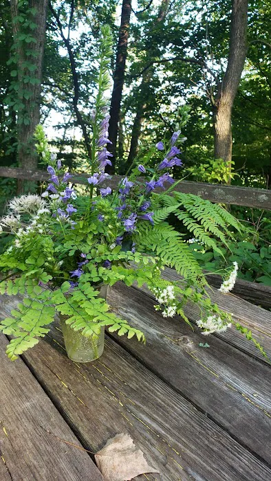 Mississippi Bend Campground & R.V. Park Picture 3