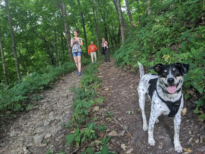 Mississippi Bend Campground & R.V. Park Picture 4