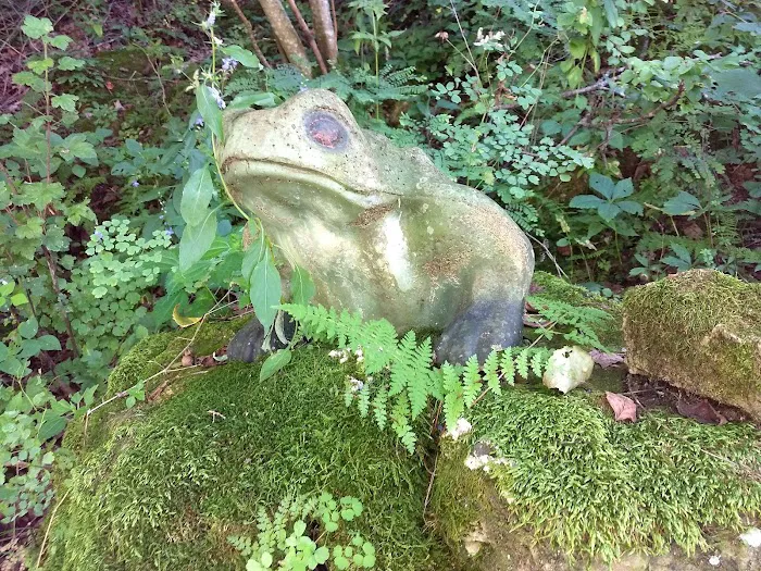 Mississippi Bend Campground & R.V. Park Picture 5