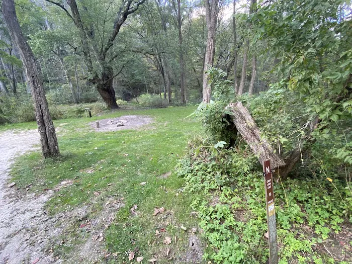 KVR Campsite N Picture 1