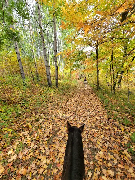 End of The Trail Equine Campground Picture 7