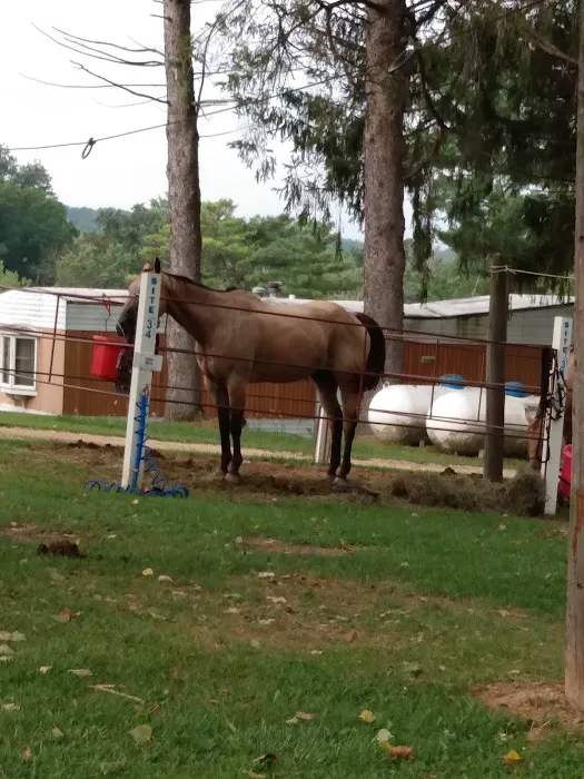 End of The Trail Equine Campground Picture 6