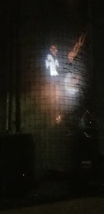 End of The Trail Equine Campground Picture 8