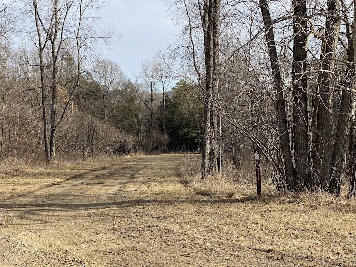 KVR Campsite Q Picture 4