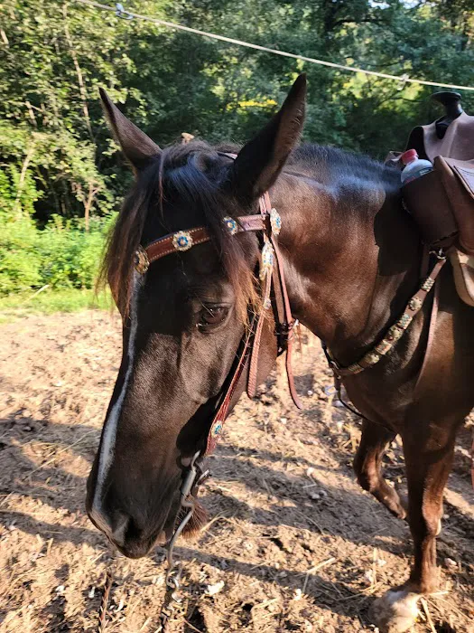Wild Cat Mountain State Park Equestrian Campground Picture 1