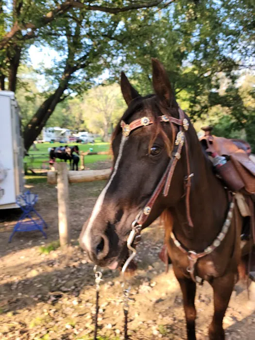 Wild Cat Mountain State Park Equestrian Campground Picture 6