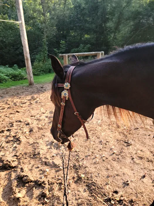 Wild Cat Mountain State Park Equestrian Campground Picture 4