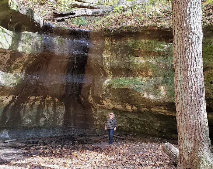 Wild Cat Mountain State Park Equestrian Campground Picture 7