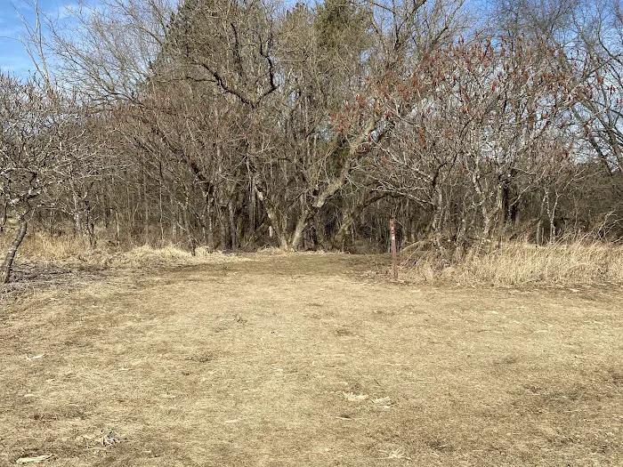 KVR Campsite T Picture 4