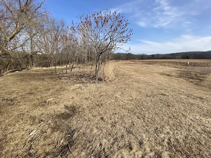 KVR Campsite T Picture 1