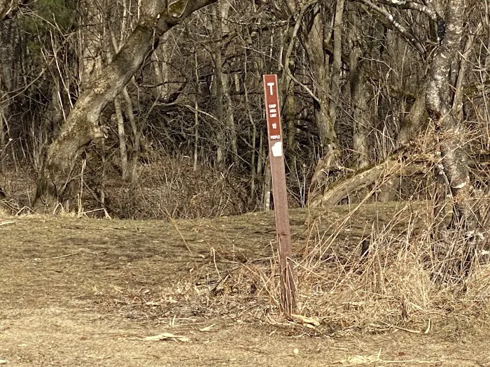 KVR Campsite T Picture 2