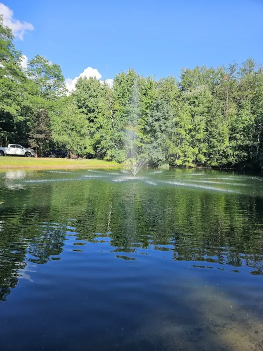 Bass Lake Campground Picture 6