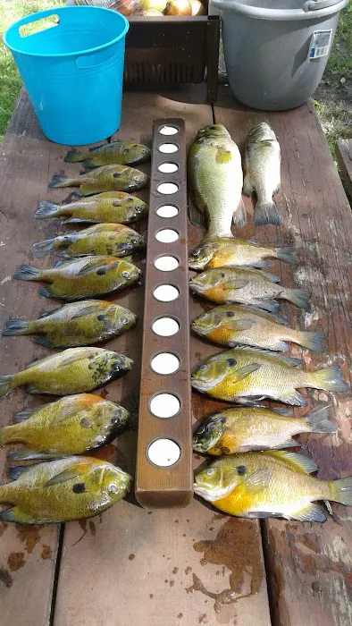 Bass Lake Campground Picture 9