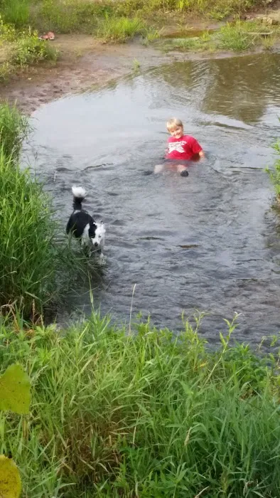 Wexford Valley Campground Picture 2