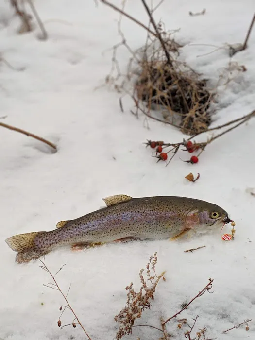 Wexford Valley Campground Picture 5
