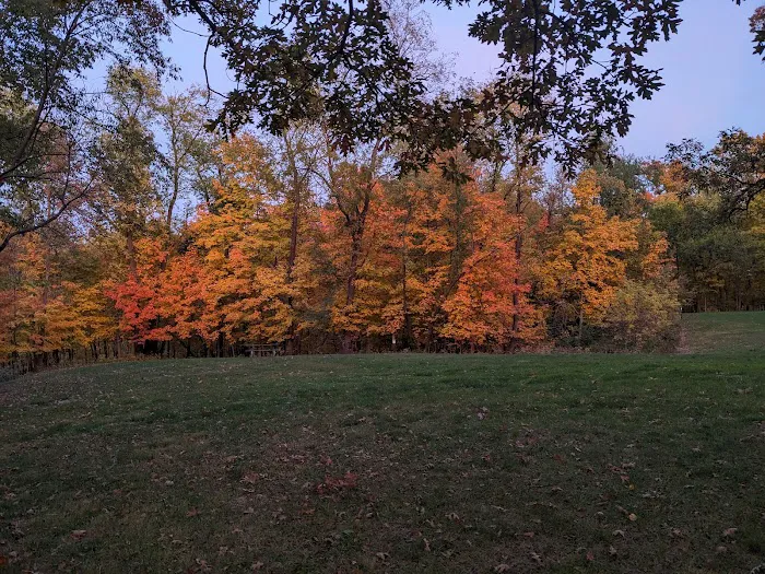 Wapsipinicon State Park Campground Picture 9