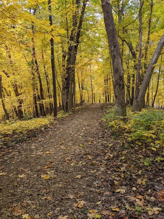 Wapsipinicon State Park Campground Picture 10