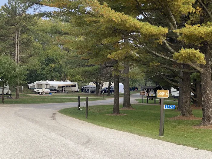 Pinicon Ridge Park Campground Picture 4
