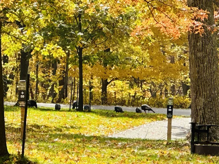 South Lake Campground Picture 10
