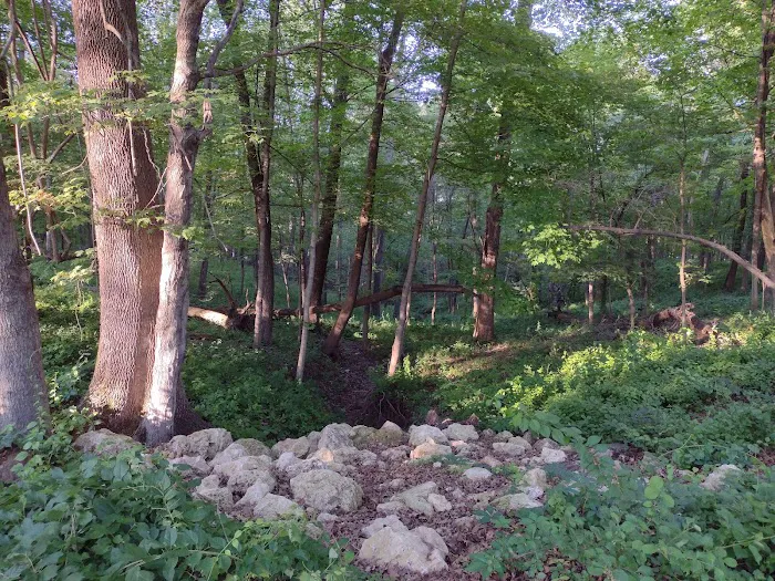 South Lake Campground Picture 8