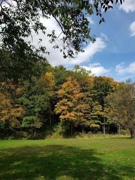 Six Pines Campground Picture 9