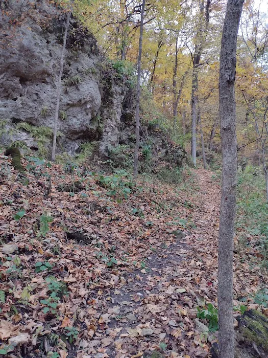 Bloody Run County Park Picture 2