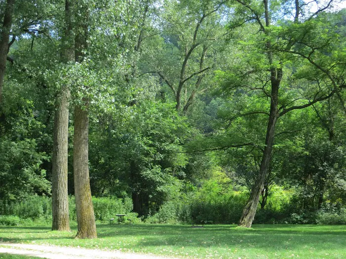 Bloody Run County Park Picture 10