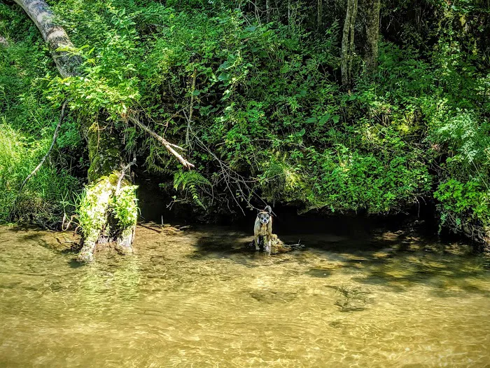 Joy Springs County Park Picture 6