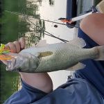 River Valley Campground And Cabin Rentals