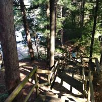 Dells Christian Campground and Retreat Center ico