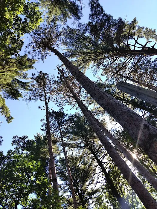 Dells Christian Campground and Retreat Center Picture 7