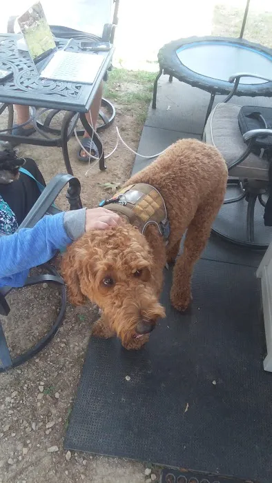 Dells Christian Campground and Retreat Center Picture 9