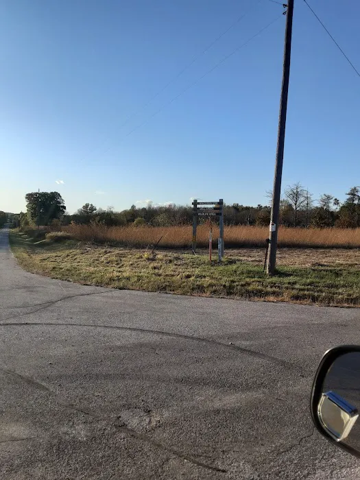 DJ Kojo Campground Picture 2