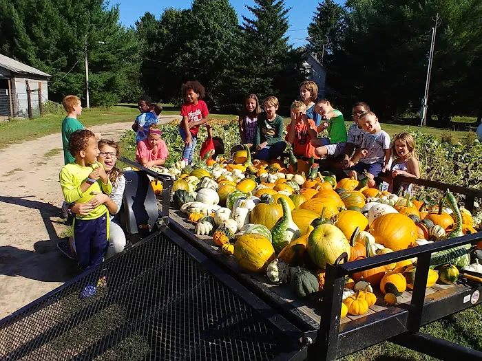 In The Pines Seasonal Camp-Resort Picture 9