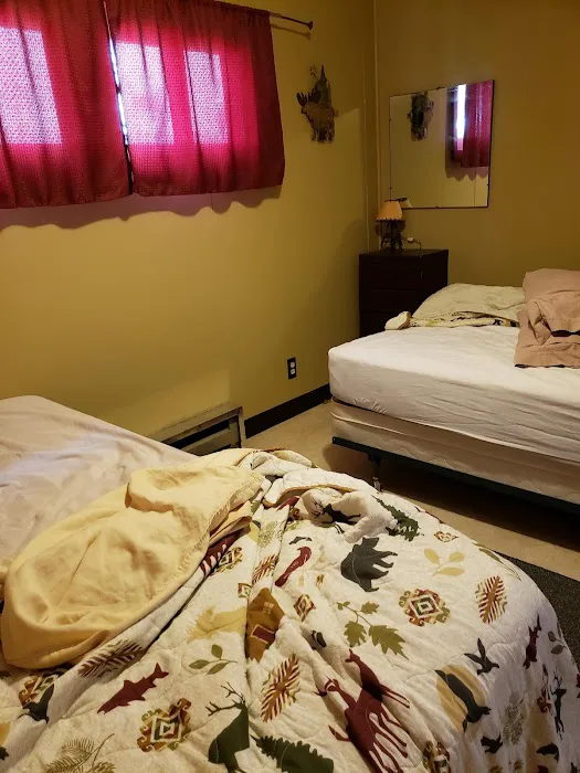 Oakwood Campsite Picture 4