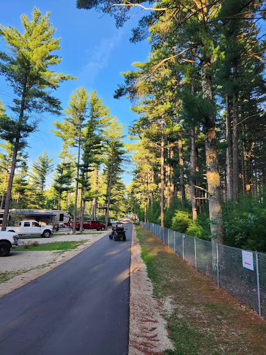 Evergreen Campsites & Resort Picture 5