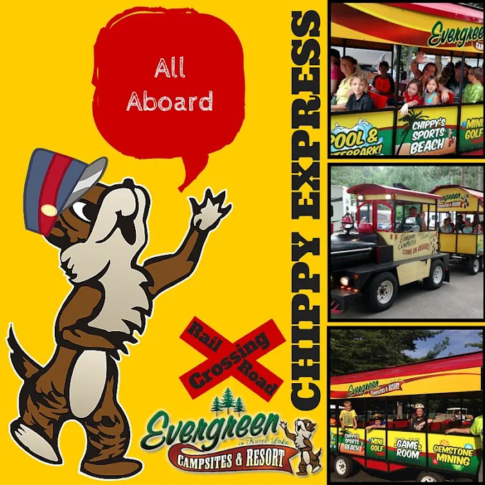 Evergreen Campsites & Resort Picture 10