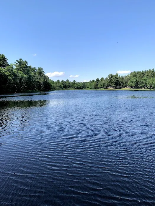 Lake of the Woods Campground Picture 8