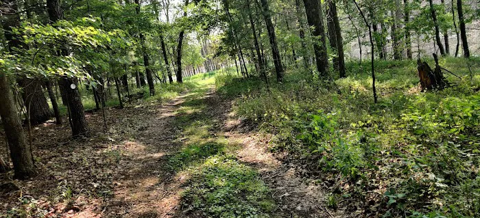 Camp Shin-Go-Beek Picture 3