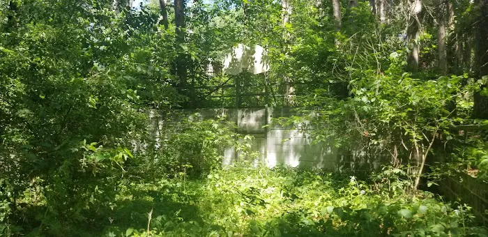 Tomorrow Wood Campground Picture 10